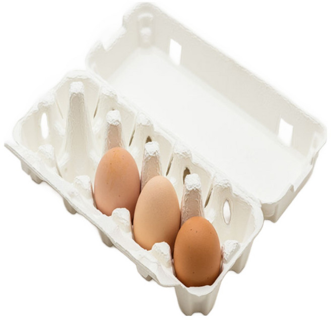 (부화용) 한엽 3호종 슈퍼 토종닭 - 유정란 3개, 1개