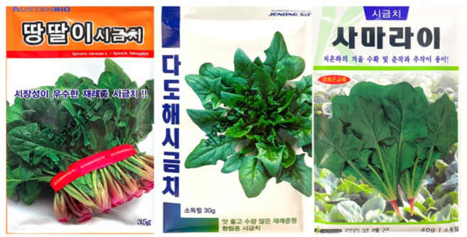 월동 시금치씨앗 겨울시금치종자 남해시금치씨 3봉 1세트