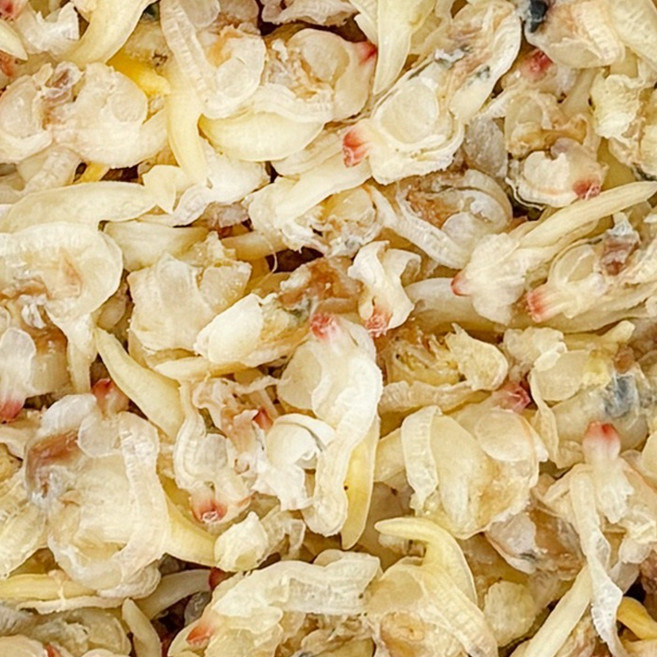 자숙건조 말린조개살 400g, 1개