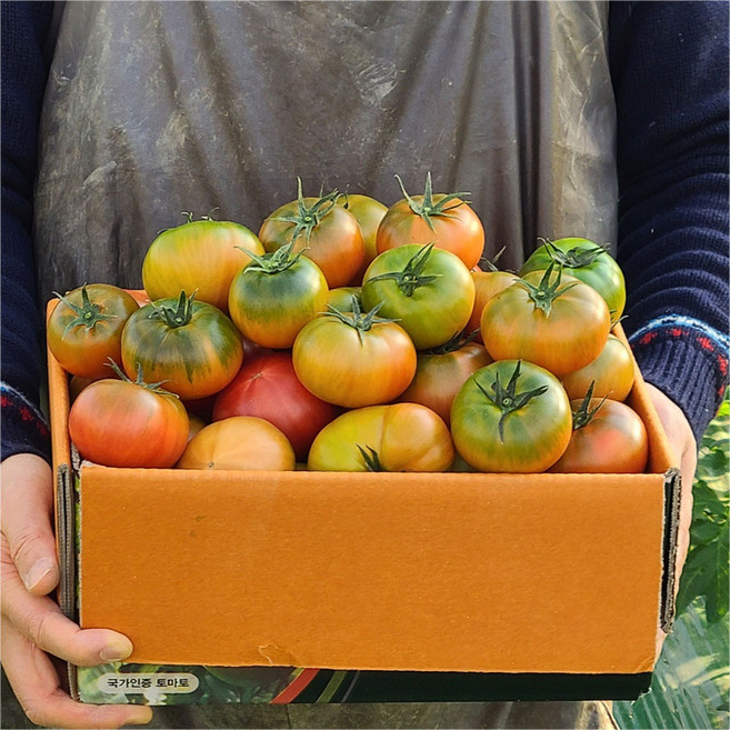 품평회 대상수상 대저 짭짤이 토마토 2.5kg, 짭짤이토마토 (로얄과 S), 1개
