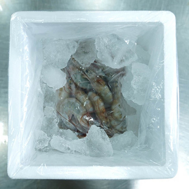 국내산 냉동 활새우 깐새우 칵테일 흰다리새우1kg 27-35미 내외, 1개