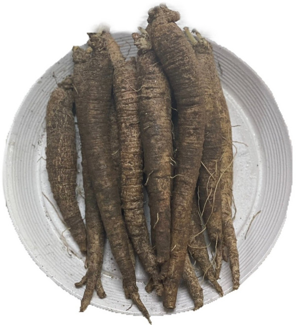 (GAP인증)강원도 홍천 더덕 흙더덕 중 상 특 100%국내산, 1, 1kg (상)