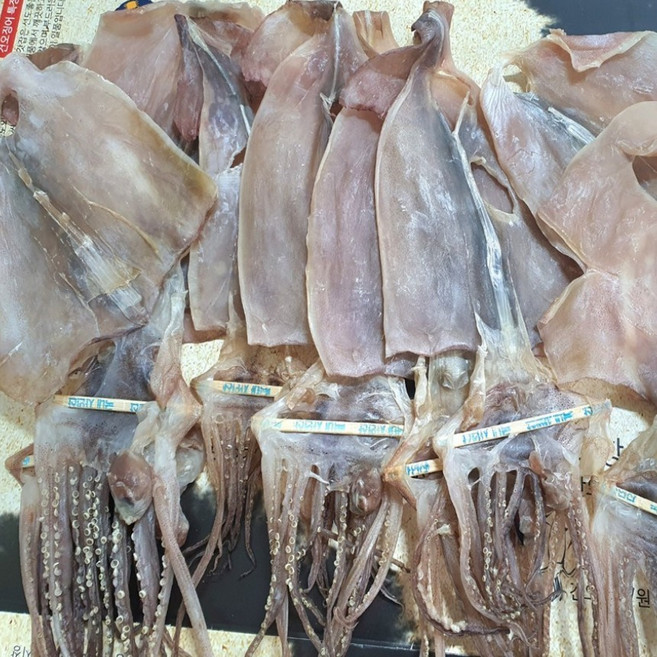 [포항 죽도시장 쇼핑몰] 국내산 마른 오징어 파품 500g, 1개