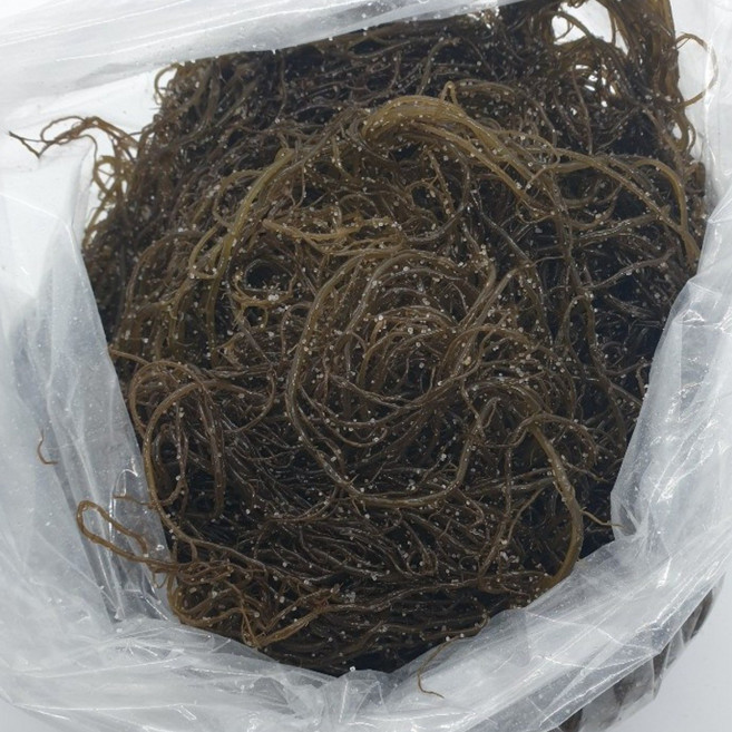 국산 염장 꼬시래기 완도산, 1개, 5kg