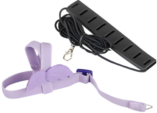 리얼세이지 앵무새 하네스 산책 리드줄, M, 퍼플, 1개