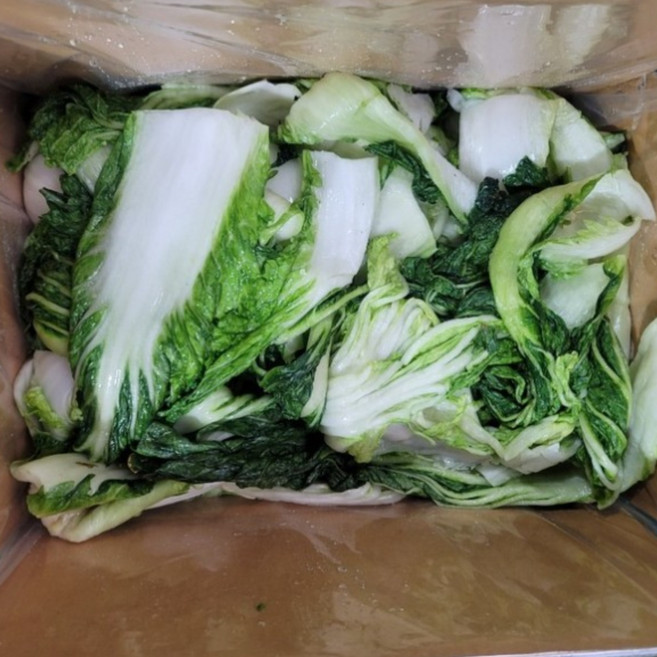 냉동 배추우거지, 1개, 10kg