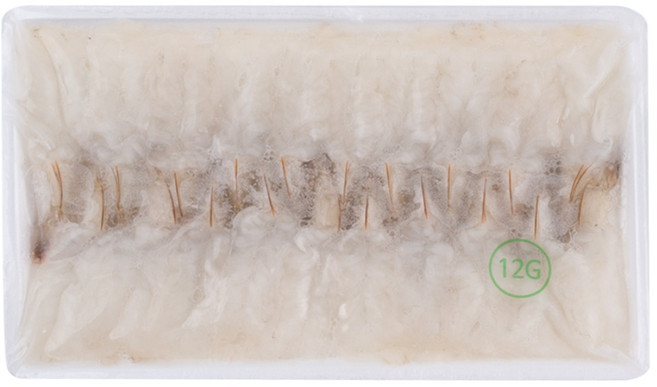 초 백미새우 12g(20미) 240g 초백미 초밥용생새우 초새우, [냉매무료] 백미새우12g + 드라이, 1개