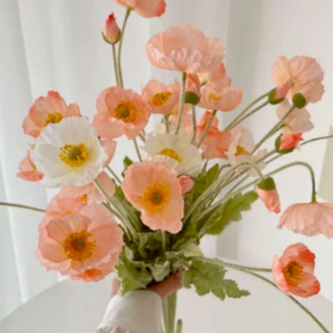 라라마을 생화같은 프리미엄 양귀비 조화, 5개, 코랄