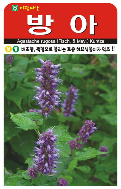 아람종묘 방아 씨앗 1000립, 1개