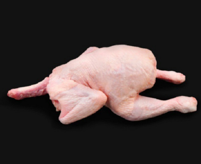 백숙용 토종닭 생닭 닭백숙 몸보신 영양식 닭도리탕 삼계탕 장닭, 1.8kg, 1개