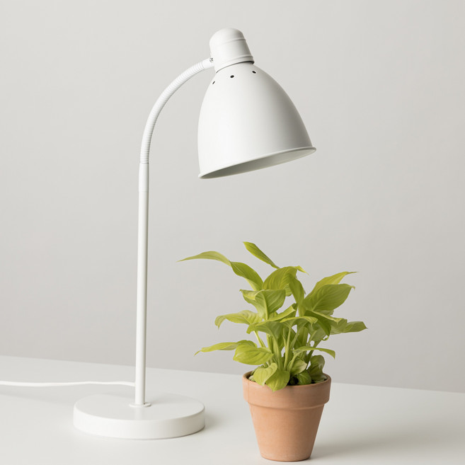 파미 식물등 생장 성장 램프 전구 조명 식물 LED, 주백색, 1개