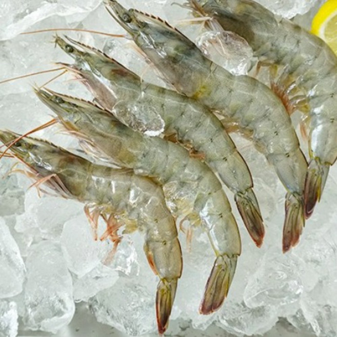 [파시] 국내산 탱글탱글한 신선 급냉 흰다리새우 냉동새우 1kg (36~47미), 1개, 새우 [36-47미] 1kg