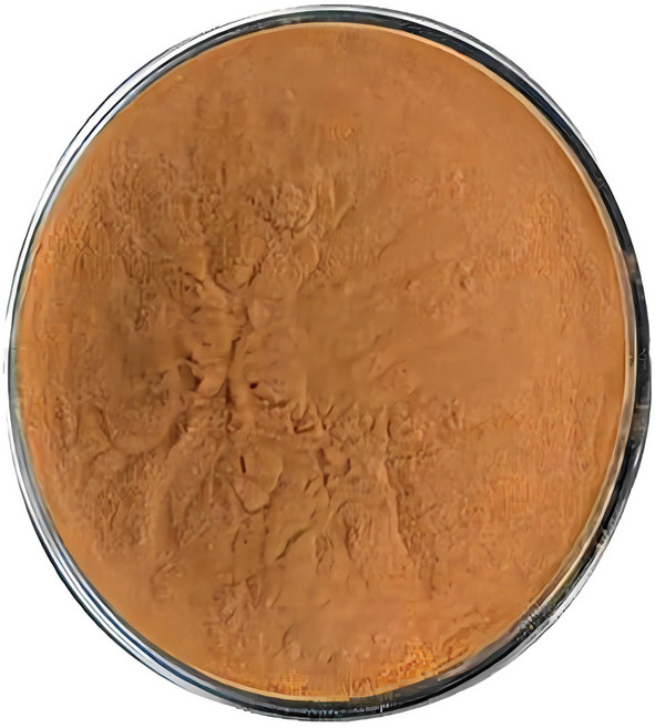 울금추출분말 1kg, 1개