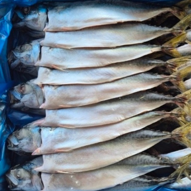맛있는 국산 자반 간고등어 10마리, 1개, 2.2kg~2.3kg