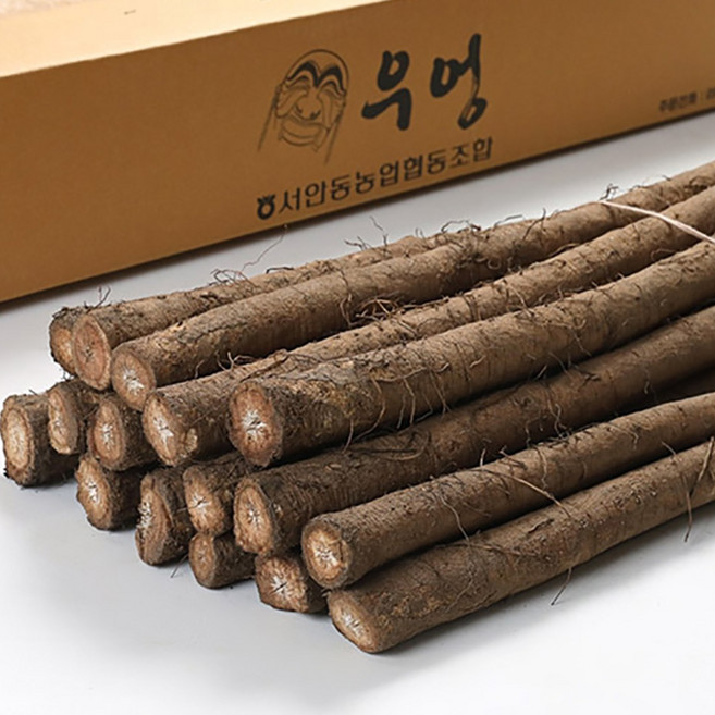 믿고 먹는 서안동농협 국내산 생우엉 (알뜰반찬용) 2kg, 1박스, 생우엉 알뜰(반찬용)