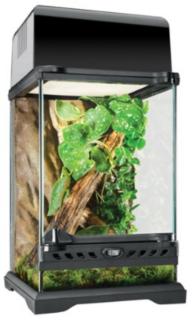 엑소테라 파충류 유리장 20 x 20 x 30 cm, 1개