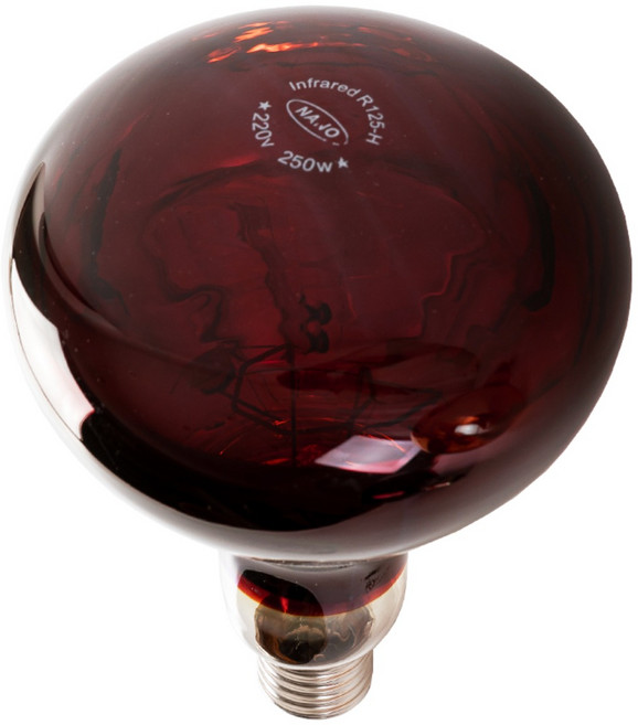 나노전자 욕실 히터 난방기 화장실 전구 램프 250W 온열등 난방등 원적외선, 1개