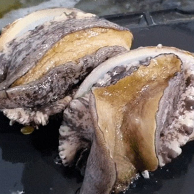 [기절않는] 전복선물세트 완도전복직거래 국산활전복, 1개, b4.전복선물세트4호[B]