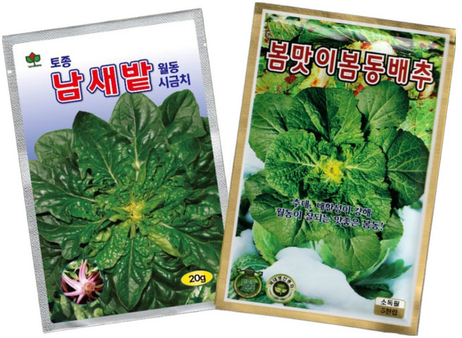 씨드코리아 월동 채소 씨앗 2종 세트 노지 봄동배추 섬초시금치씨앗 종자, 1개