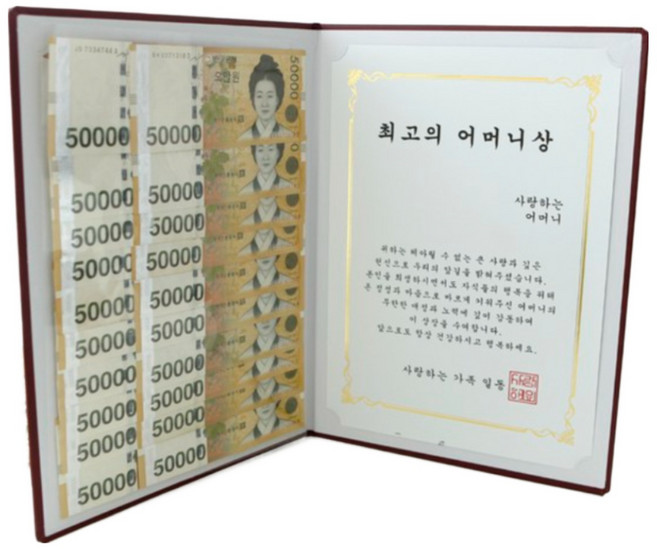 부모님 상장 용돈선물 어버이날 생일선물 어머니 아버지 감사장 YOUR LUCK 상장케이스, 1개, 최고의 어머니상