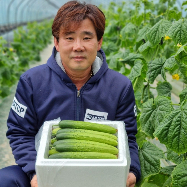 양주 바른농원 [인삼먹인] 백다다기 명품오이 2kg (10개입) 4kg (20개입) 10kg (50개입) 수분~가득 아삭하고 맛있는 백다다기 오이 (오이지용. 소박이용), 1박스