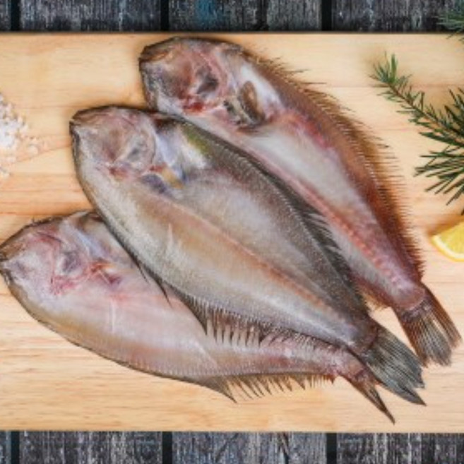 가자미 반찬용 손질되어 먹기 편한 반건조 가자미 세마리 말린생선 제수용 제사상생선, 25cm~26cm 4마리, 1개