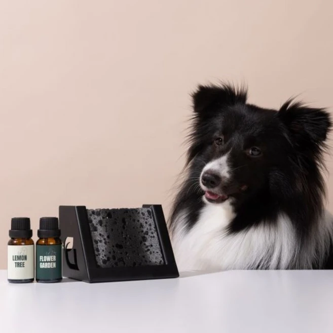 디퓨리 천연 실내 반려동물 스톤디퓨저 강아지 탈취제 고양이 화장실 냄새 제거 방향제, 1개, 15ml, 나무받침대+플라워가든(장미) - 쿠팡