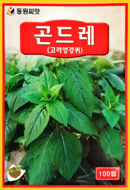 농사친구 곤드레씨앗 100립 동원 씨 종자 쪽파 고사리 명이나물 산상추 초당옥수수 항암배추 담배 산마늘 아스파라거스 고수, 1개