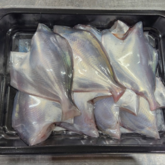 [통영직송] 횟감용 손질 병어500g 병어회, 1개, 500g