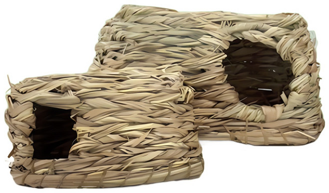 빙키 자연주의 도란도란 하우스 L 햄스터 이갈이 은신처 하우스, 1개