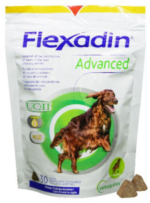 베토퀴놀 강아지 플렉사딘 어드밴스 영양제, 30회분, 뼈/관절강화, 1개