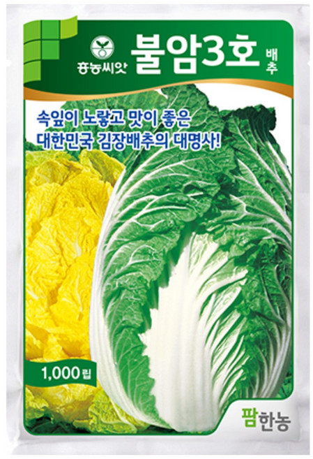 불암3호 배추씨앗 배추 씨앗 불암배추 김장 2000알, 1개