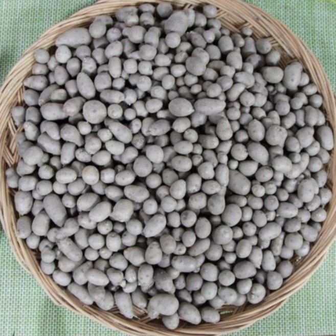 [이베따] 국내산 안동 마씨앗 (영여자), 1박스, 02_안동 마씨앗 5kg