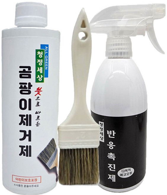 청정세상 곰팡이제거제500g(붓1)+반응촉진제 에코오투500ml1, 1개