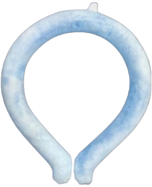 라워스 28도에서어는 2세대 아이스 넥쿨러, 2개, 블루