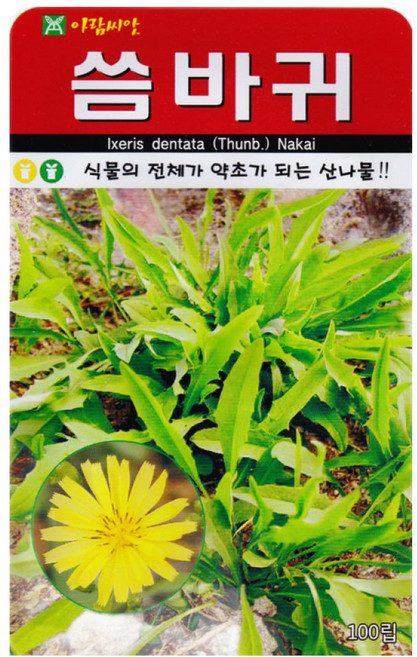 영농사 <씀바귀 씨앗 100립> 씀바귀씨, 4개