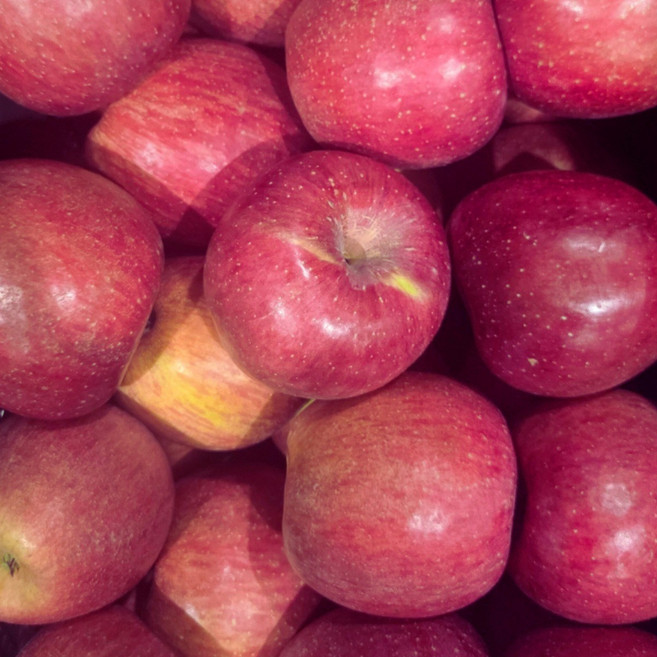 경북 청송 안동 문경 부사 얼음골 꿀사과 미니 가정용 못난이 흠과 주스용 3키로 5키로 10키로, 1개, 가정용 흠과 3kg(17과내외)(반품불가)