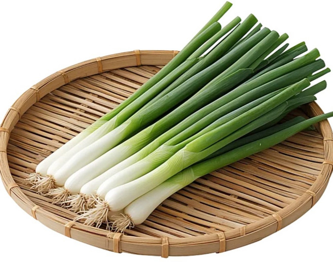 가온누리 김치 진도대파 산지직송 2kg 1개