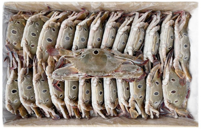 삼점게 숫게 대용량 업소용, 1개, 숫게 6kg 150/200사이즈