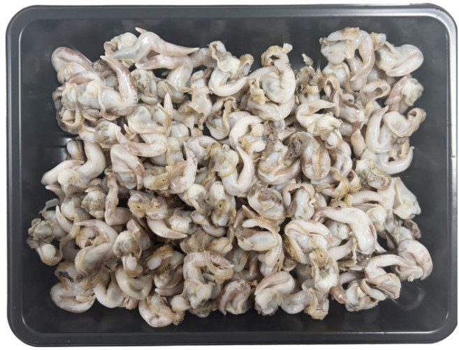 새조개 샤브샤브 밀키트 (새조개+칼국수면 사리+부추+배추+팽이버섯+와사비+초고추장+샤브샤브 국물용 소스), 1세트, 500g