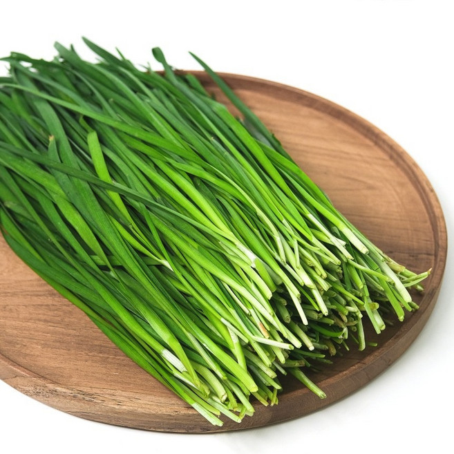 [고품위] 국내산 부추 특등급 정구지, 1개, 1kg