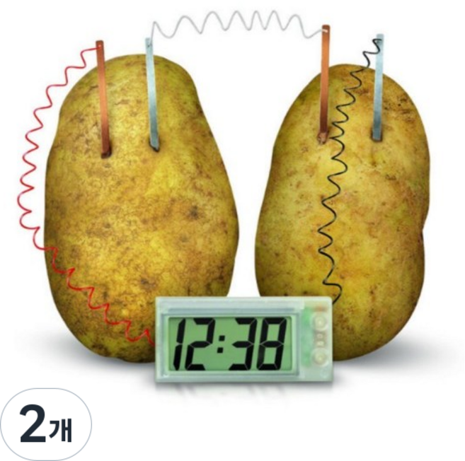 비엘스키 에너지 전기 화학 교육 감자 시계 DIY 과학 실험 키트, 2개