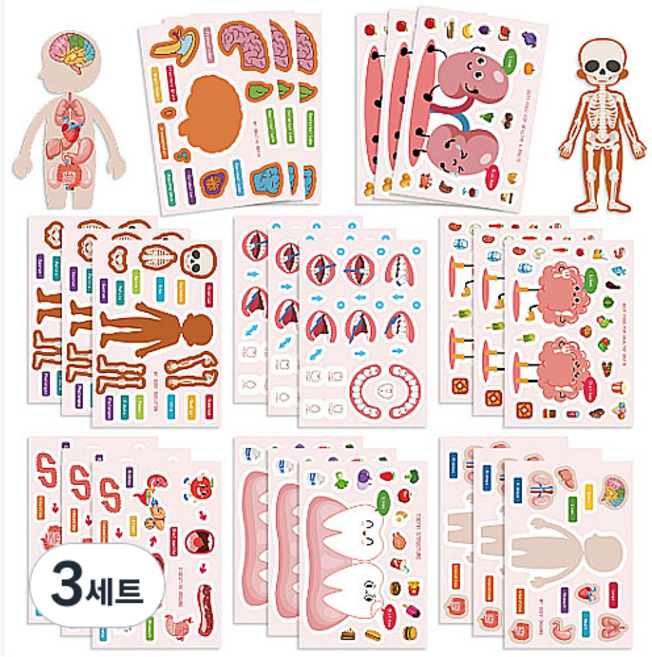 [DIY 스티커] 인체 스티커 키트 놀이로 배우는 내 몸의 구조 뇌 장기 치아 뼈까지 한눈에, 3세트