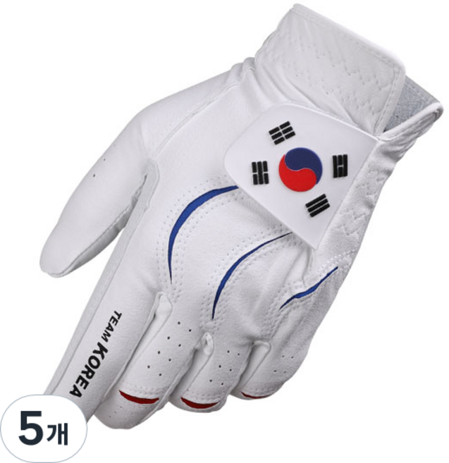 [어베이브] 팀코리아 태극기 국가대표 콤비양피 골프장갑, 화이트, 5개