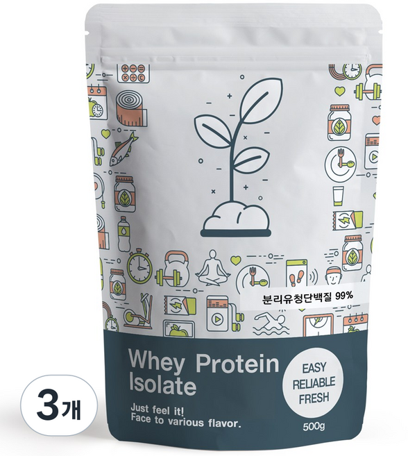 푸른빈 WPI 분리유청단백질 분말 가루, 500g, 3개