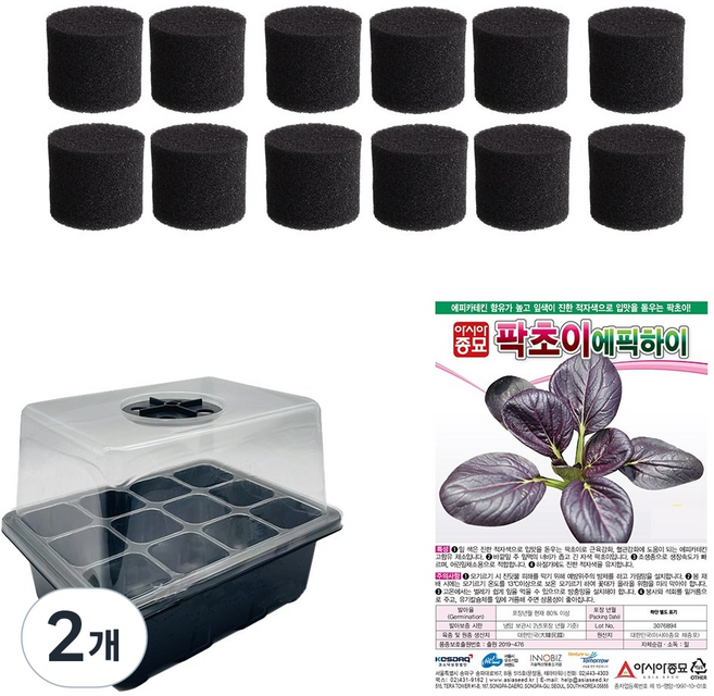 청경채수경재배키우기 씨앗 화분세트, 2개