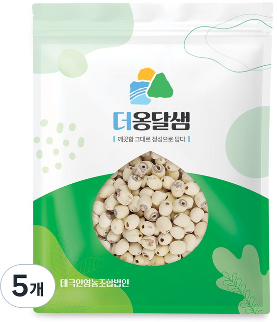 더옹달샘 엄선한 우수품질 깐 연자육 500g 연꽃씨 연밥, 5개