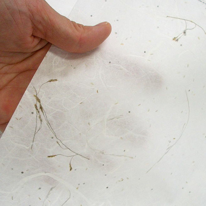 구름한지 자연운용지 소발 63cm x 93cm 5매 선물포장 인테리어 벽지, 들꽃