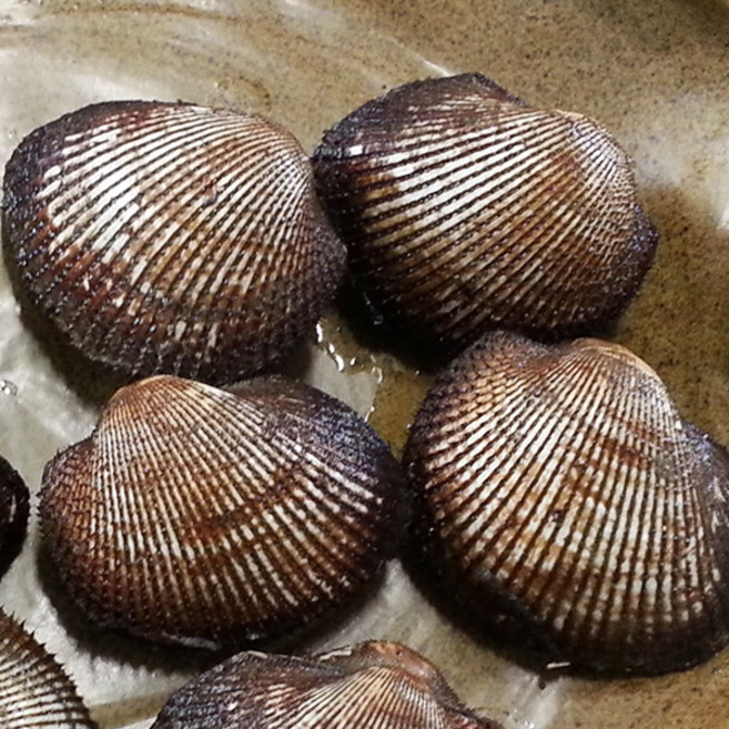 오병이어농산 피꼬막, 피꼬막2kg(중소), 1개