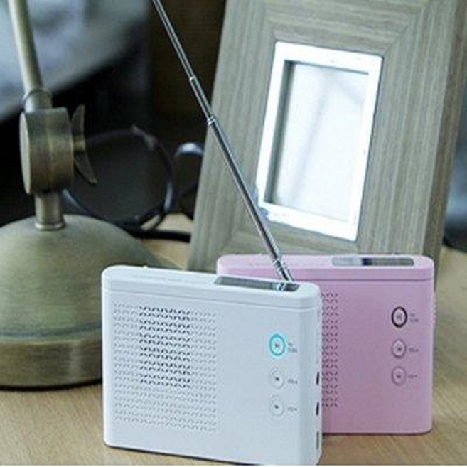 아이담 멀티스피커 붐박스 MP3, BOOM-R6, 핑크